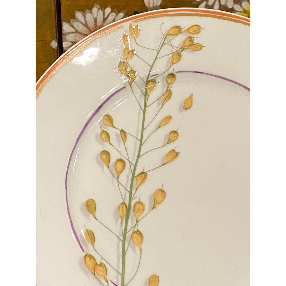 Christian Tortu “Nature” Raynaud Limoges 8-7/8” Porcelain Plate FLAWLESS!